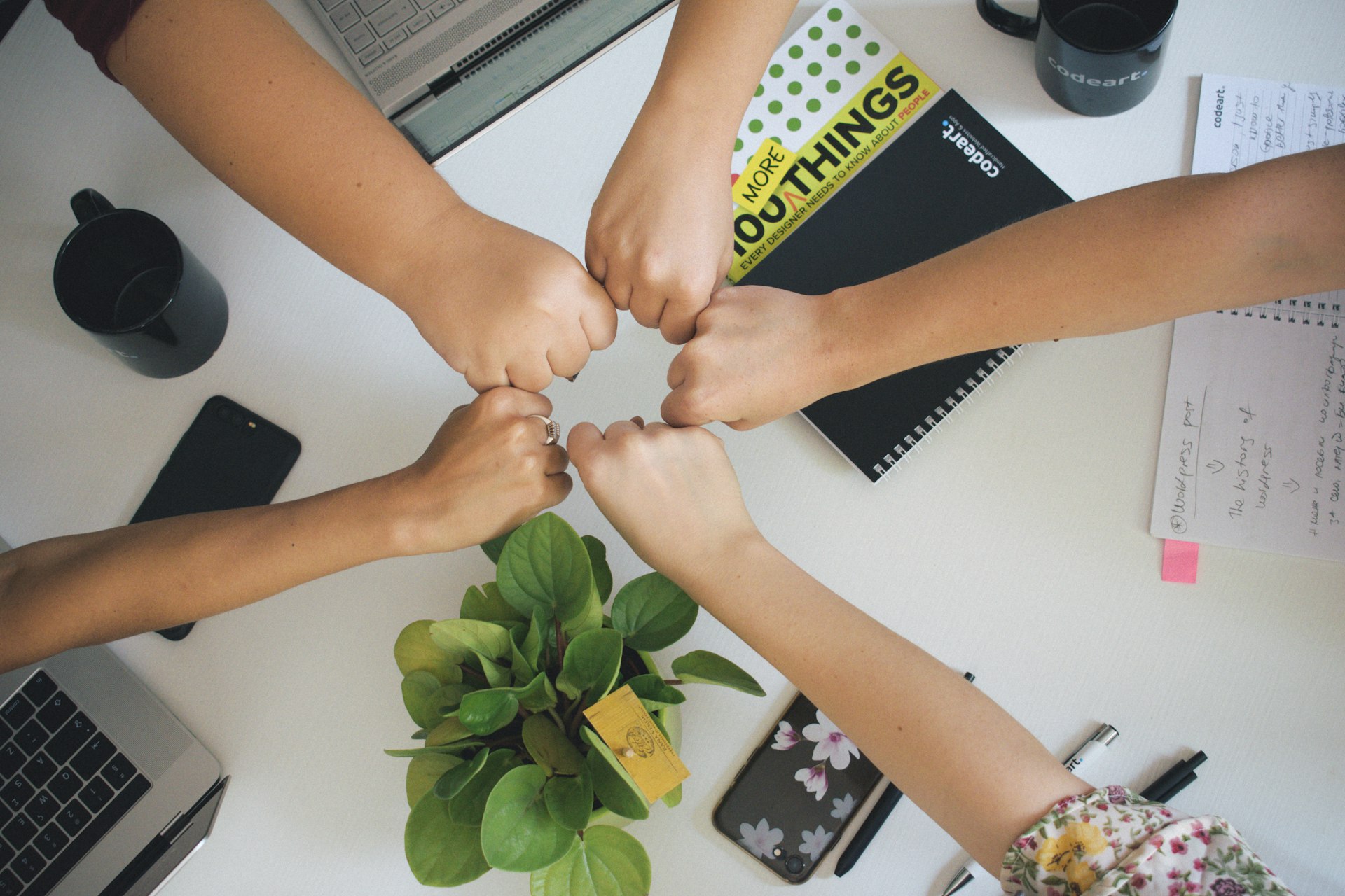 Emprendedores de la comunidad LGBTIQ+ trabajando en equipo
